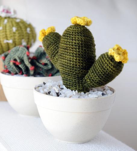 Cactus que Dan Vida I