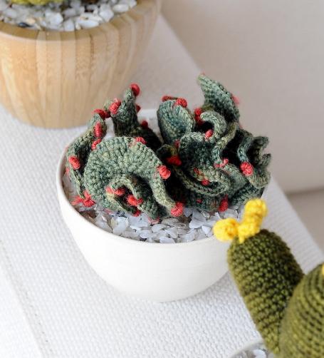 Cactus que Dan Vida II