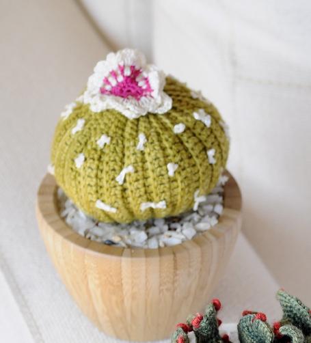 Cactus que Dan Vida III