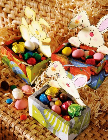 Conejo Guarda Huevitos