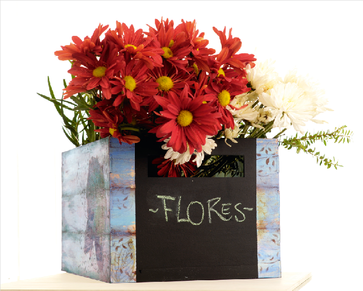Cajón Porta Plantas