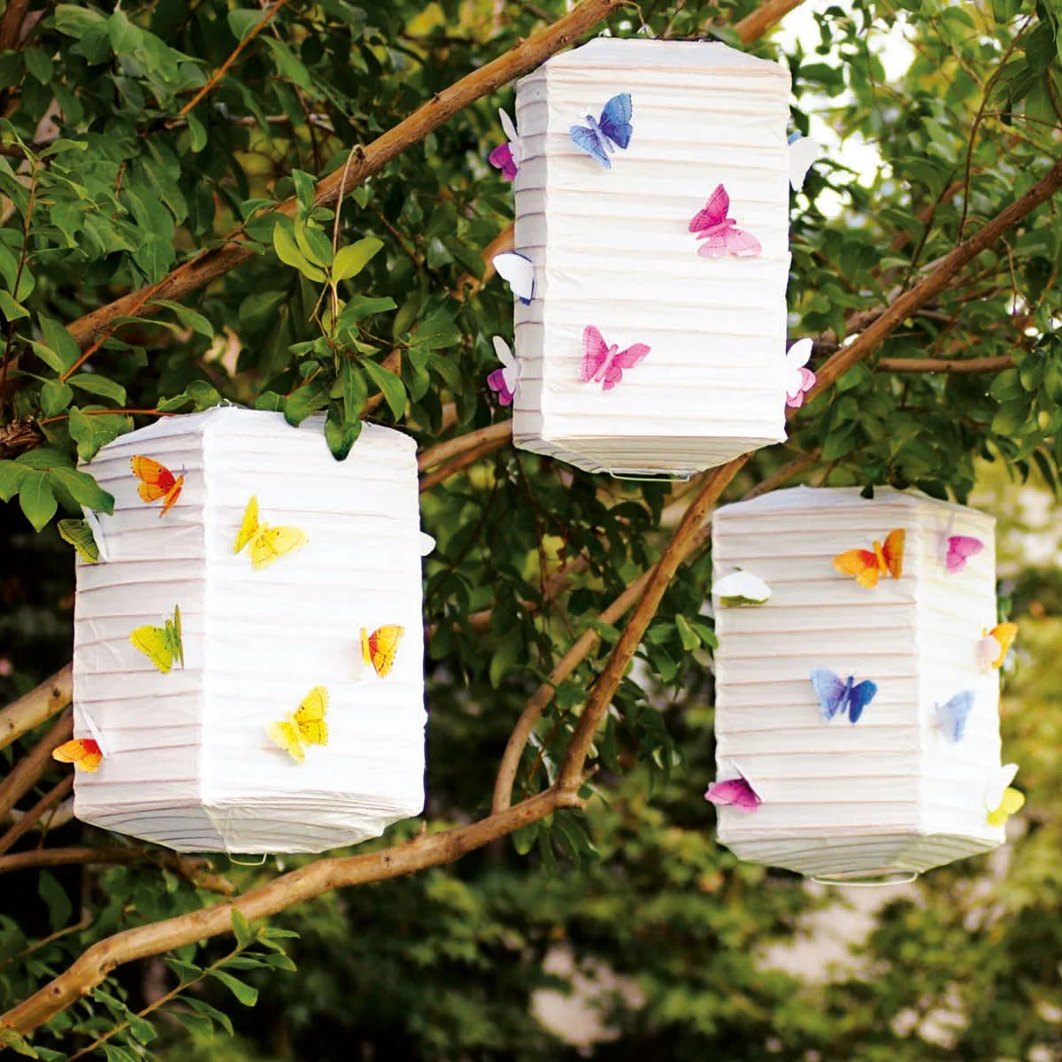 Ideas para el Verano I