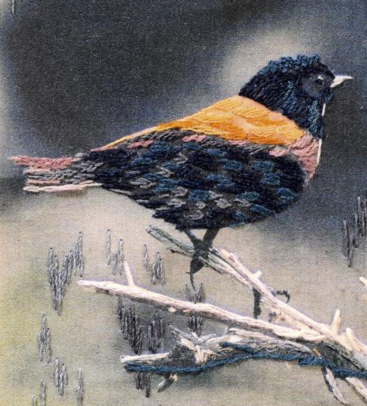 Bordado Sobre Transfer