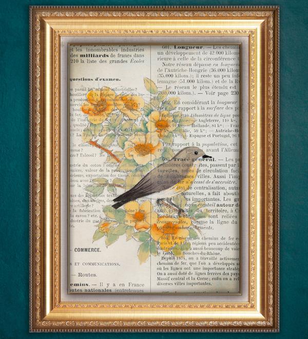 Pajarito en Hoja de Revistas