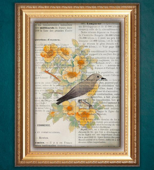 Pajarito en Hoja de Revistas